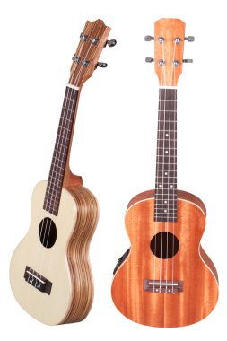 Hawai gitar