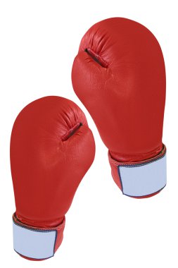 Boks eldiveni