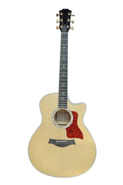 gitar izolegitaar geïsoleerd