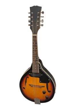 Mandolin