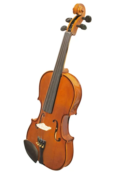 Violin — Stock Photo, Image