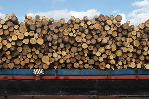 Timber ship — Stock Photo, Image