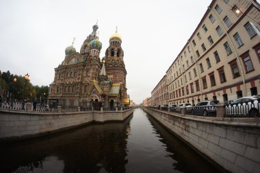 Kilise dökülen kan ve griboyedov kanal, st. petersburg, Rusya Federasyonu.