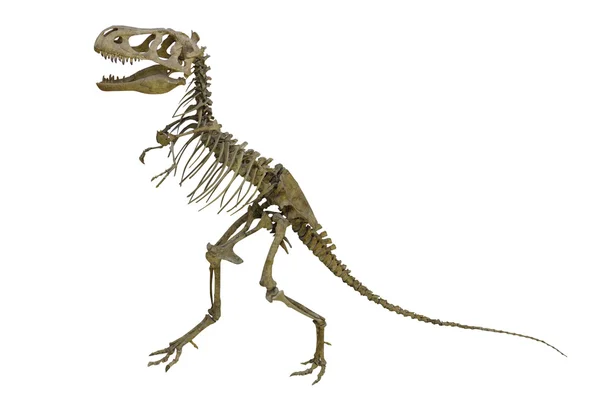 Dinosaurierskelett — Stockfoto