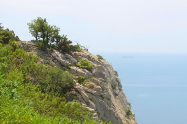 Yalı görüntü ile peyzaj