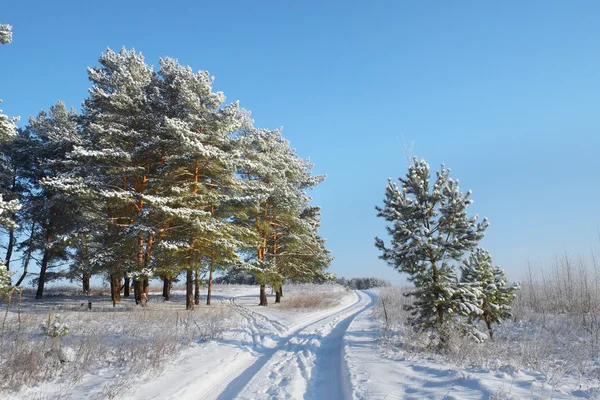 Paisaje con el omage de un bosque de invierno — Foto de Stock