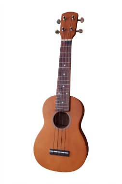 Hawai gitar resim