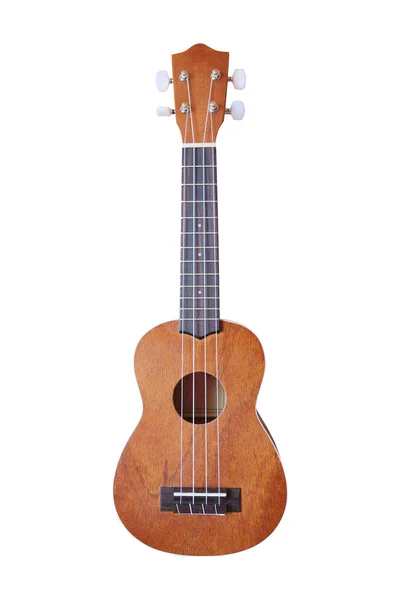 Het beeld van een Hawaiiaanse-gitaar — Stockfoto