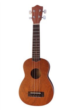 Hawai gitar resim