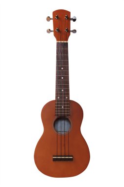 Hawai gitar resim