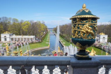 görüntünün bir vazo Peterhof, Rusya Federasyonu,