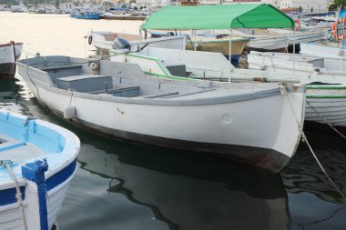 tekne