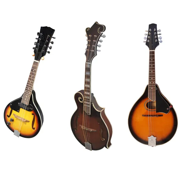 Mandolin — Stok fotoğraf