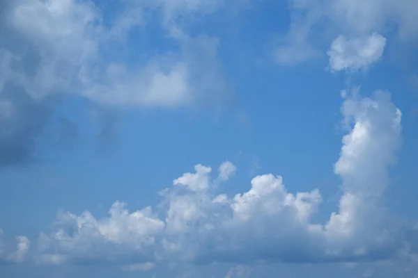 Sullo sfondo del cielo — Foto Stock