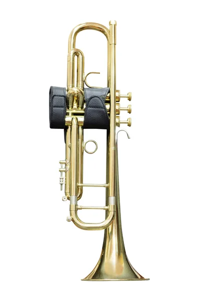 Trumpet — Stock Photo, Image