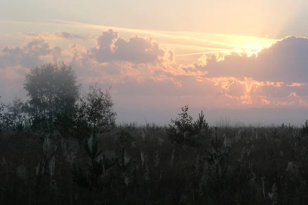 Paisaje Con Imagen Verano Sunrize —  Fotos de Stock