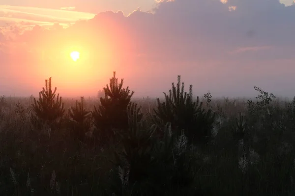 Krajobraz Wizerunkiem Letniego Słońca Zdjęcia Stockowe bez tantiem