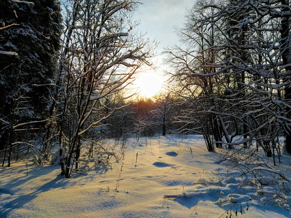 Landskap Med Bilden Vintersolnedgången Stockbild