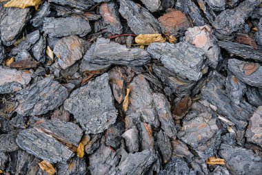 Ağaç kabuğu görüntüsü olan arkaplan