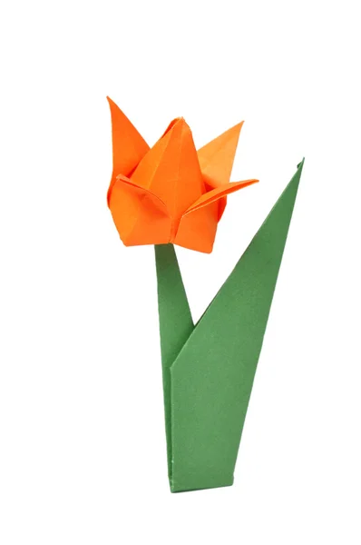 Tulipano origami — Foto Stock