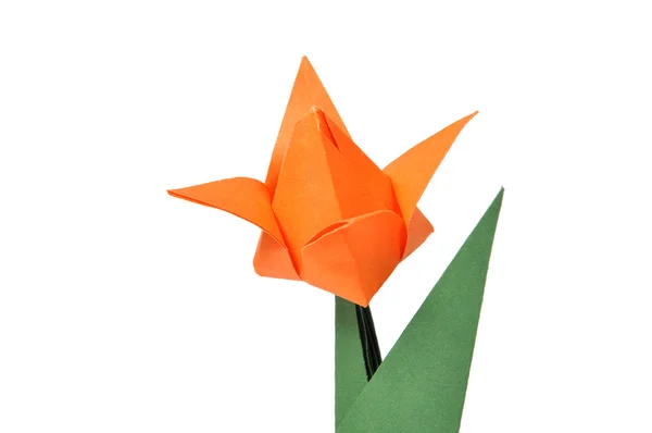 Tulipán de origami — Foto de Stock