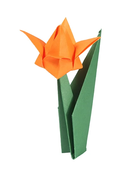 Tulipán de origami — Foto de Stock