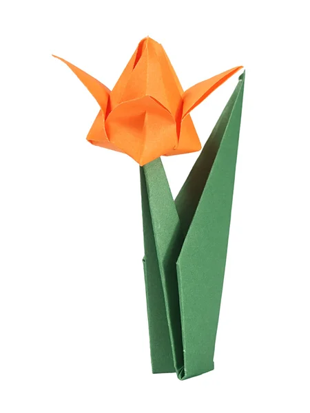 Origami tulip — Stockfoto