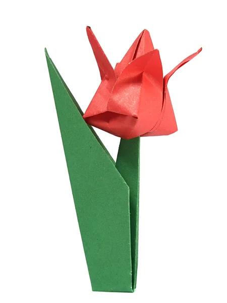 Tulipán de origami — Foto de Stock