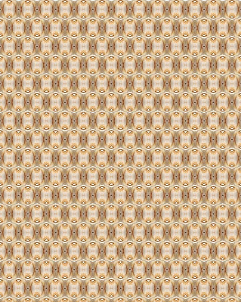 Vintage shabby background with classy patterns — Stock Photo, Image