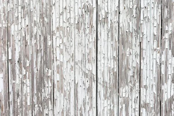 Grungy fondo blanco de madera natural — Foto de Stock