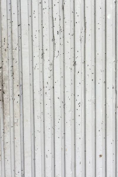 Grungy sfondo bianco di legno naturale — Foto Stock