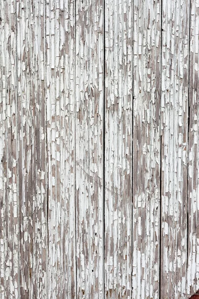 Grungy weißen Hintergrund aus natürlichem Holz — Stockfoto