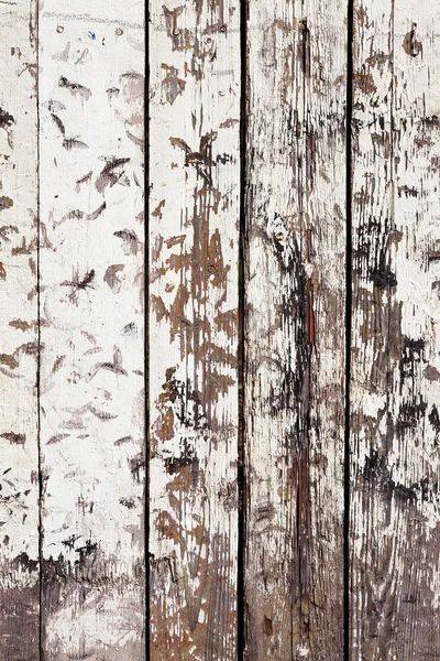 Grungy sfondo bianco di legno naturale — Foto Stock