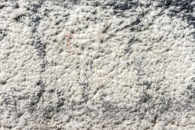 yüksek çözünürlüklü beton grunge duvar yıpranmış