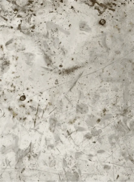 Grungy parede de concreto branco fundo — Vetor de Stock