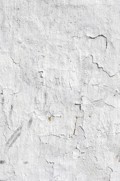 Grungy sfondo muro di cemento bianco — Foto Stock