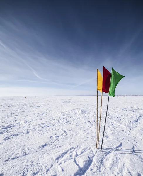 Bandeiras no fundo do céu de inverno — Fotografia de Stock