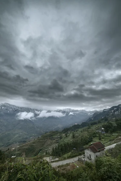 Alan teraslar pirinç. sapa vietnam — Stok fotoğraf