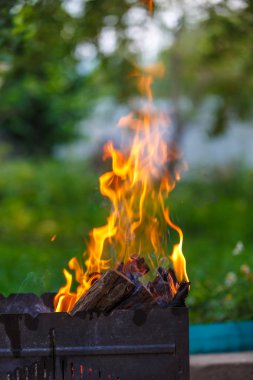 Flames yakın çekim ızgara