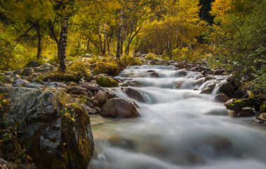 Mountain river rapids in autumn