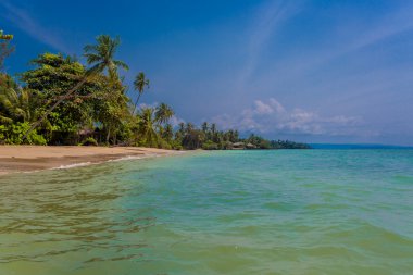 Tayland 'da tropik plaj