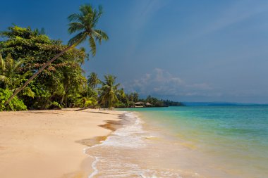 Tayland 'da tropik plaj