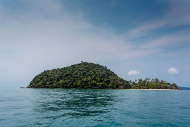 tropikal ada