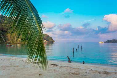 tropikal Bay Beyaz gemi