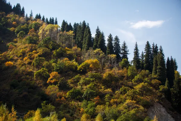 Automne dans les montagnes — Photo