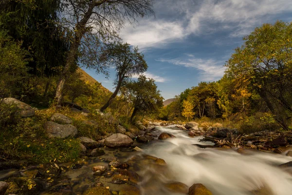 Outono paisagem montanha rio — Fotografia de Stock