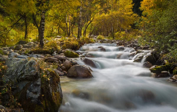 Mountain river rapids in autumn