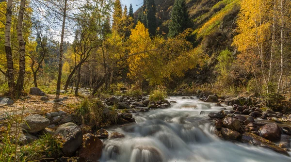 Sonbahar manzaralı dağ nehri