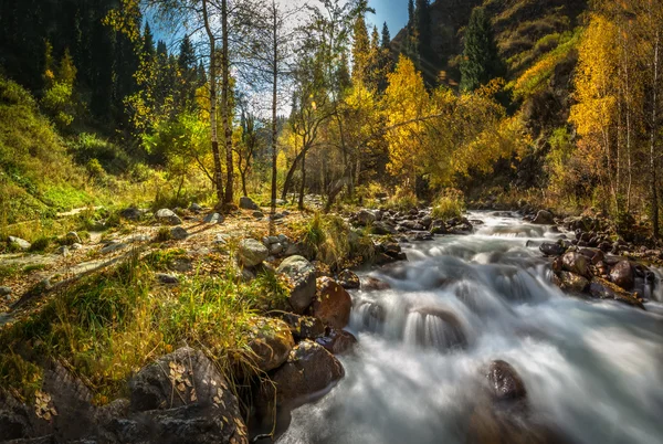 Outono paisagem montanha rio — Fotografia de Stock