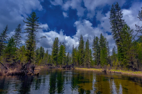 Fluss im Wald — Stockfoto